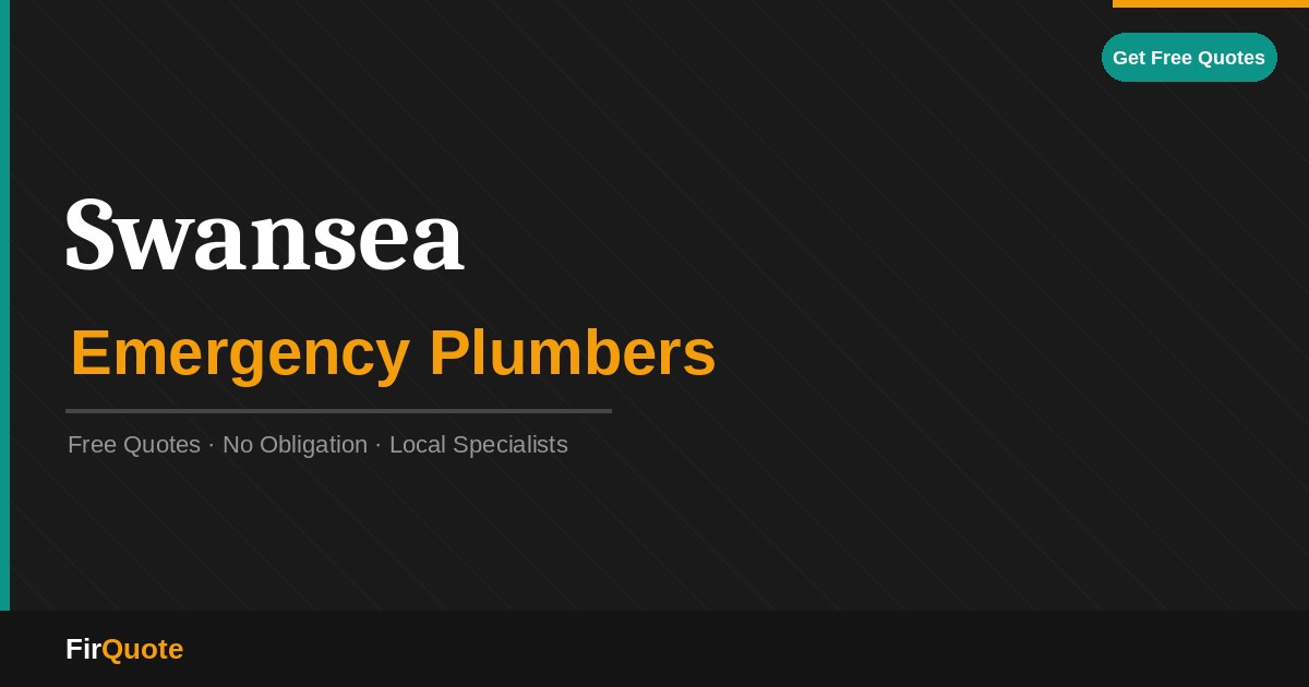 Swansea Emergency Plumbers